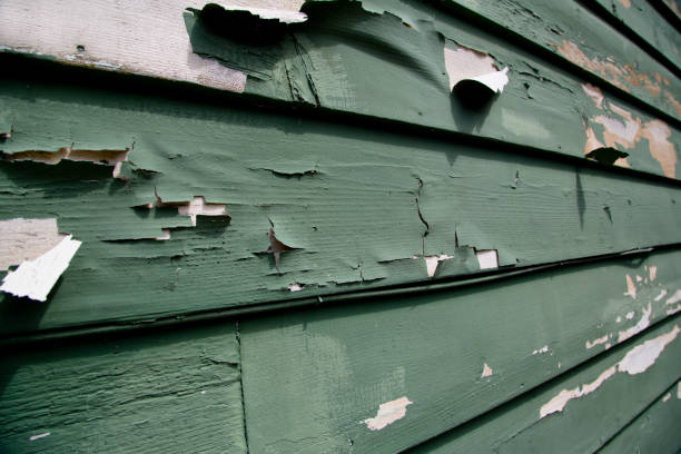 Recycling Services for Junk in Lennox, CA